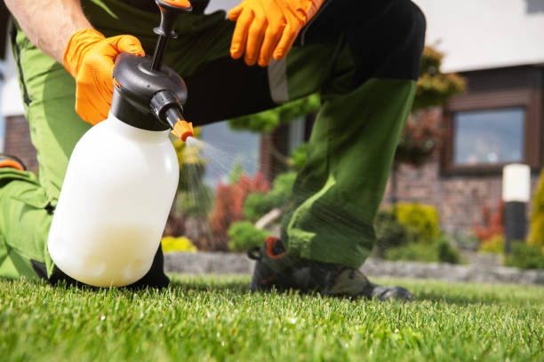 Pest Prevention Services in Gun Barrel City, TX