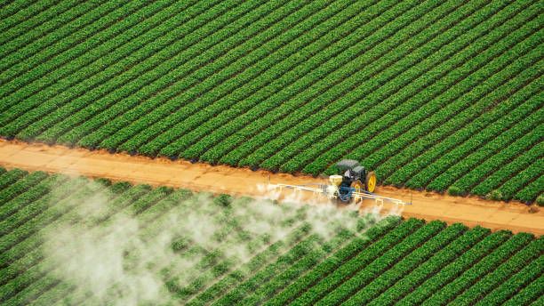 Best Pest Removal Services  in Gun Barrel City, TX