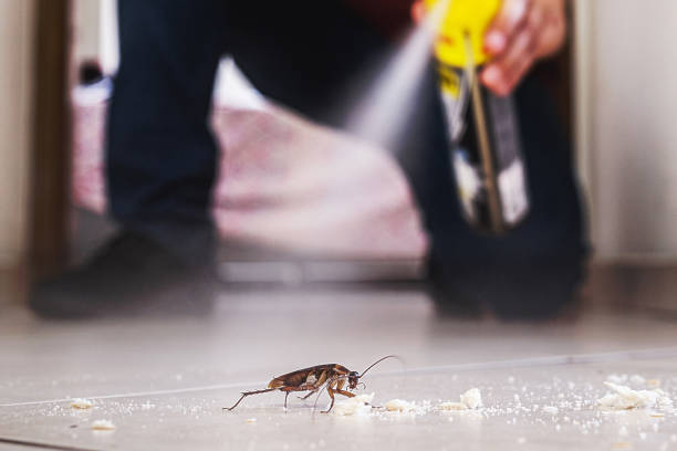 Best Pest Inspection Near Me  in Gun Barrel City, TX
