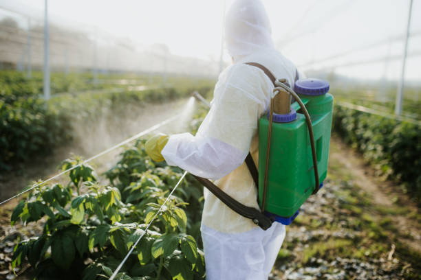 Best Emergency Pest Control  in Gun Barrel City, TX